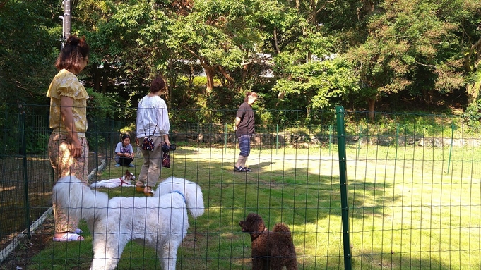 【愛犬同伴】＜料理長おすすめ夕食付プラン＞金目鯛付和食膳☆和洋室確約！朝食なしでのんびり出発♪